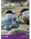 Bird Study