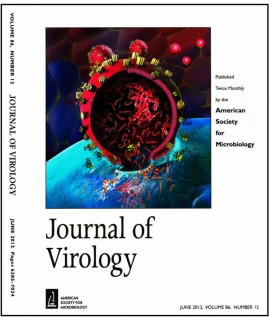 Journal of Virology