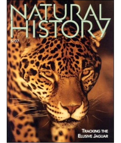 Natural History Magazine