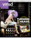 VMSD (Visual Merchandising and Store Design)