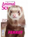 Animal Scene