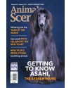 Animal Scene