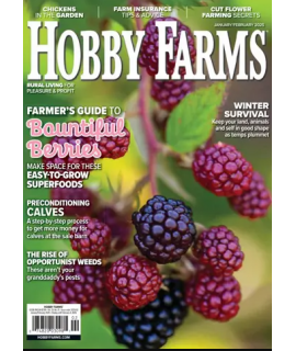 Hobby Farms