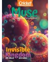 Muse (for ages 9 to 14)