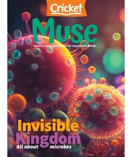 Muse (for ages 9 to 14)