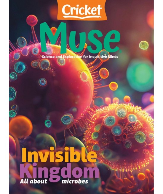 Muse (for ages 9 to 14)