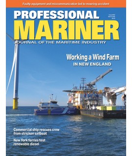 Professional Mariner