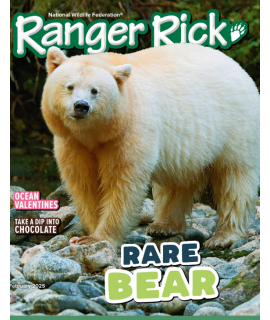 Ranger Rick (for ages 7 up)