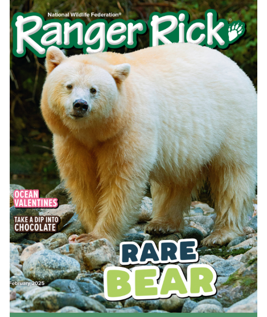 Ranger Rick (for ages 7 up)