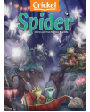 Spider (for ages 6 - 9)