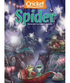 Spider (for ages 6 - 9)